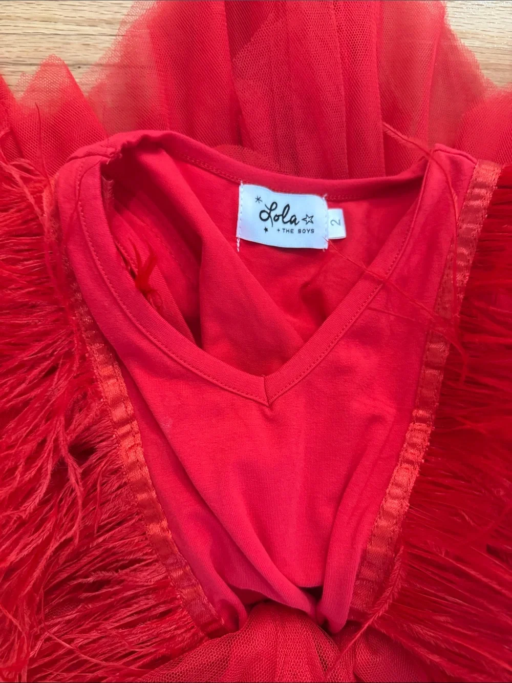 Lola and the Boys Red Feather & Tulle Kids Dress